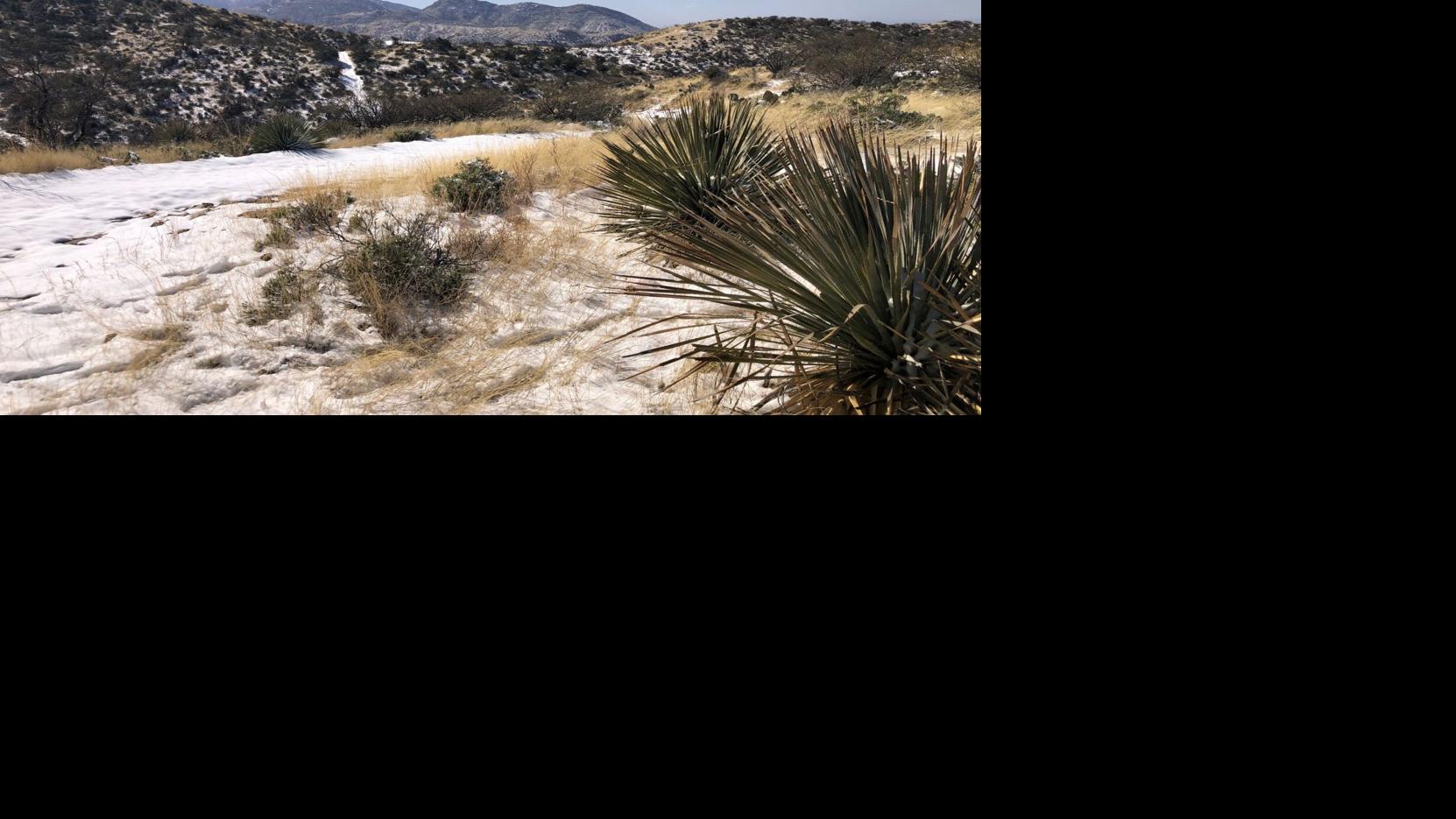 Coronado National Forest adds almost 700 acres in Catalina Mountains south of Oracle