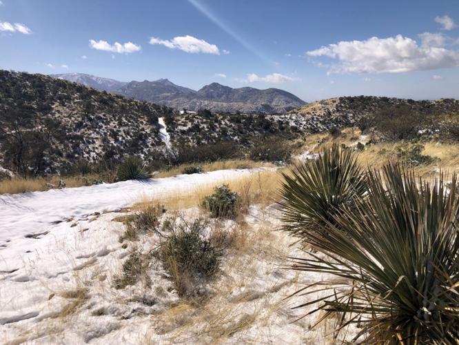 Coronado National Forest adds almost 700 acres in Catalina Mountains south of Oracle