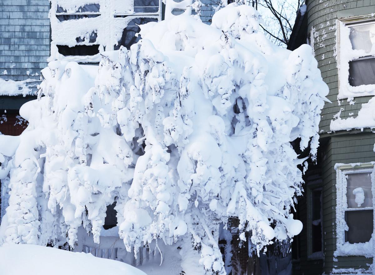 Buffalo Blizzard