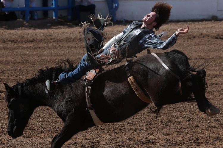 2016 Tucson Rodeo
