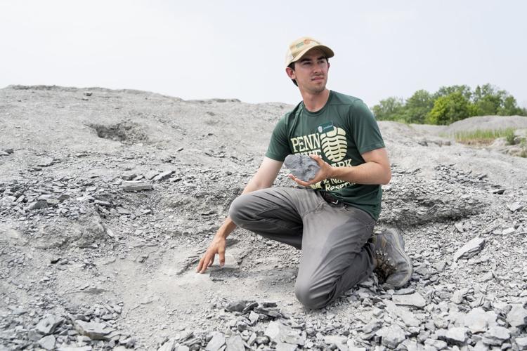 Penn Dixie site manager discovers fossil estimated to be 382 million years old