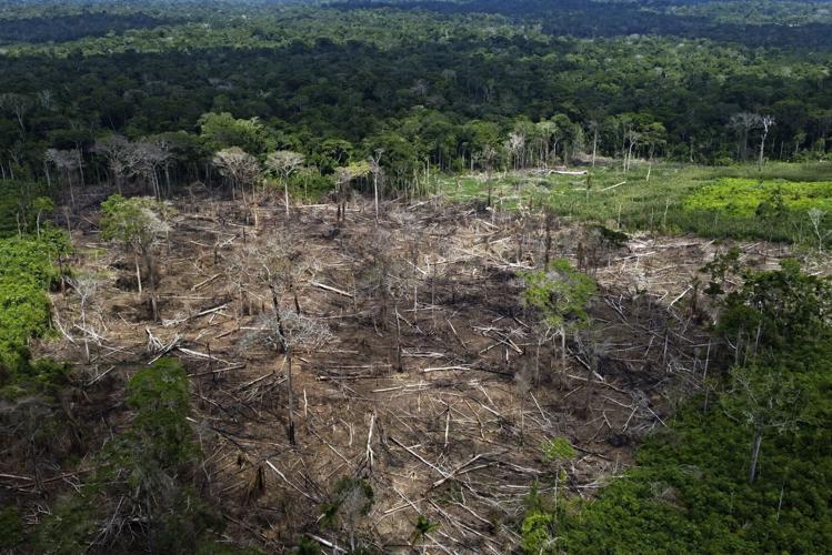 APTOPIX Amazon Lula Deforestation