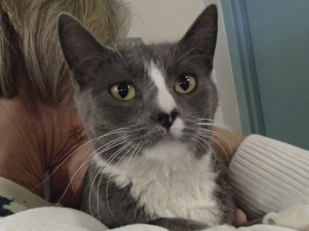 Pima Animal Care Center