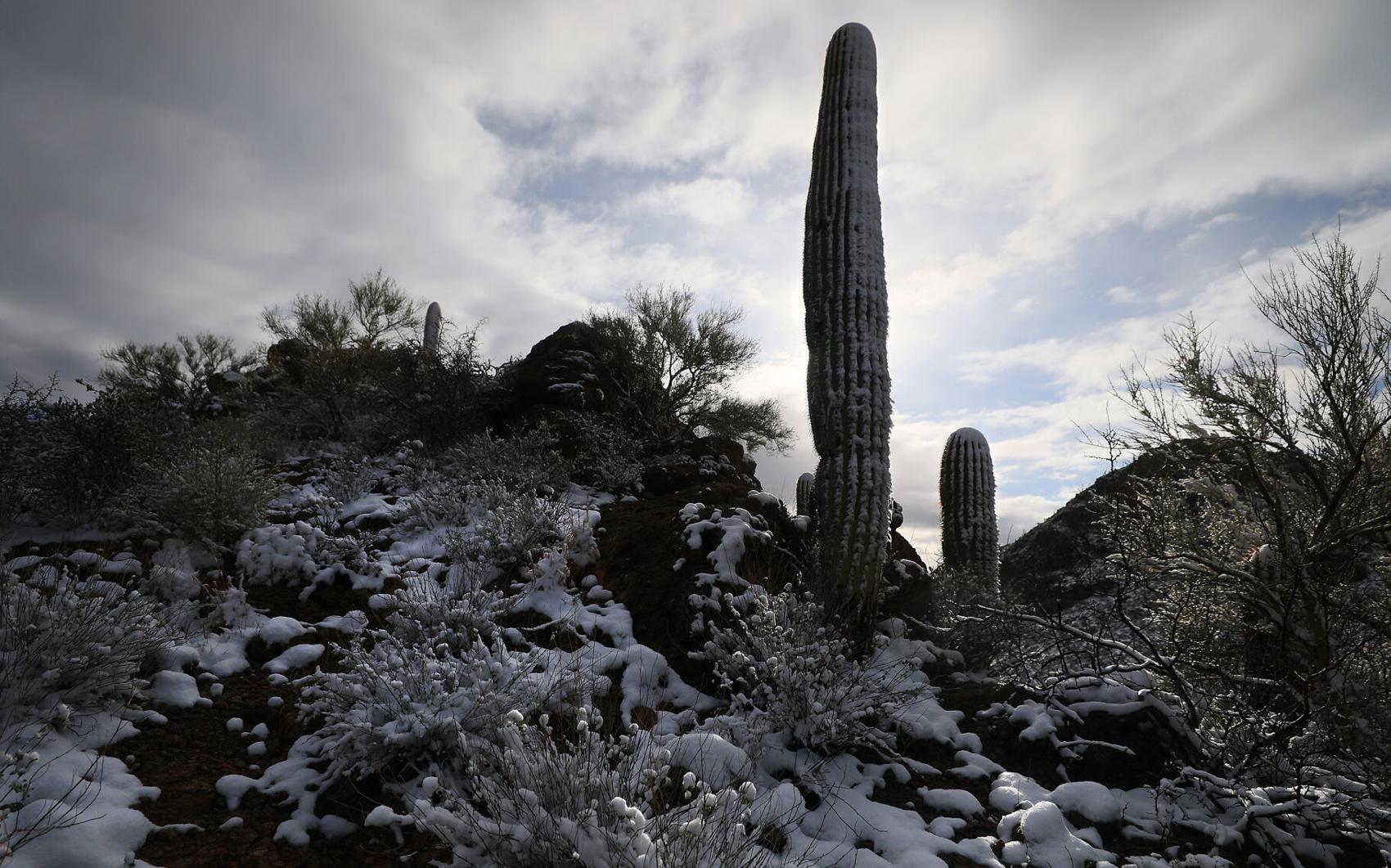 A bunch of photos of today's snow across Tucson ️💕 tucson life