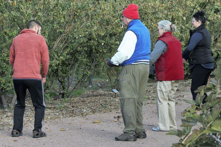 Tai Chi in the Garden