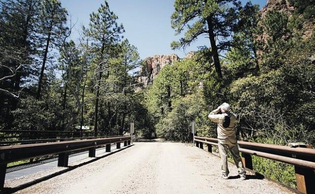 Cave Creek Canyon