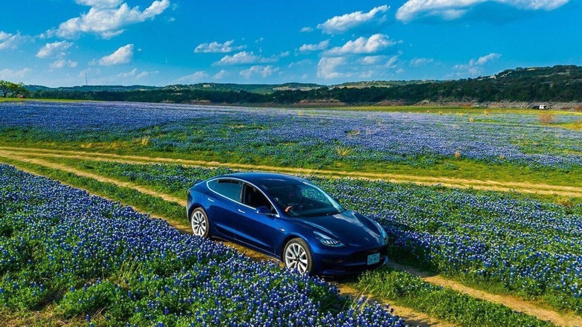 Mapping America’s EV adoption: Which states are leading the charge in 2025?