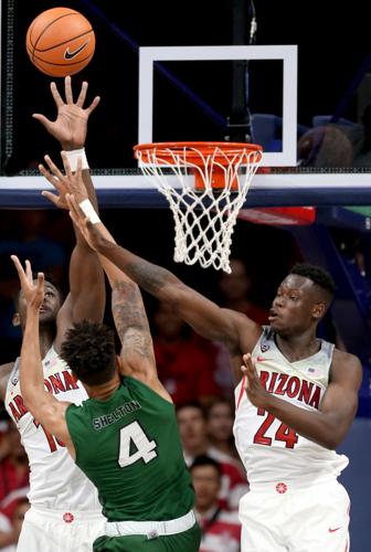 University of Arizona vs Eastern New Mexico