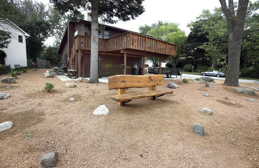 Wildwood man transforms yard to desert