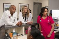 Scrubs (2026) (copy)