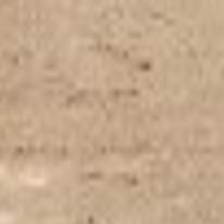 Winding Up A Career Softball Tucson Com