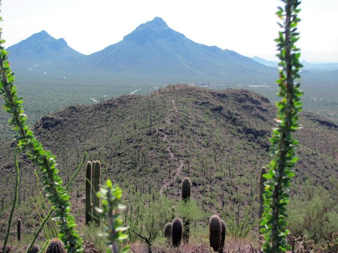 Brown Mountain Trail