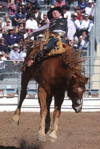 2016 Tucson Rodeo