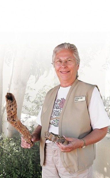 Park docent can help you identify birds  