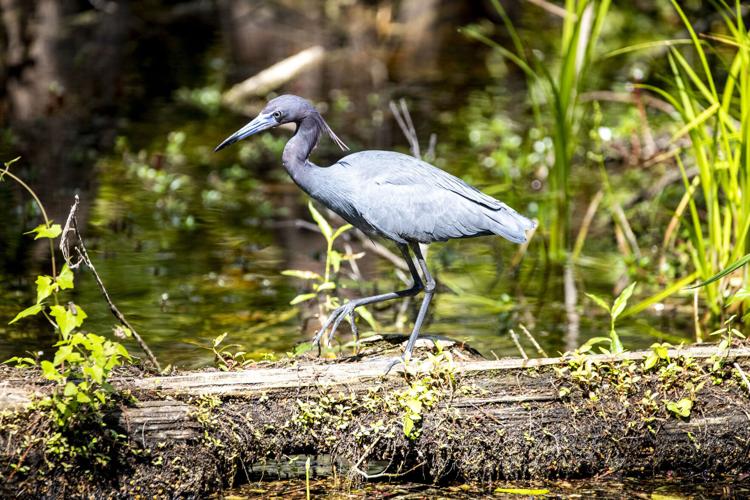 US-NEWS-WEA-IAN-RECOVERY-3-OS