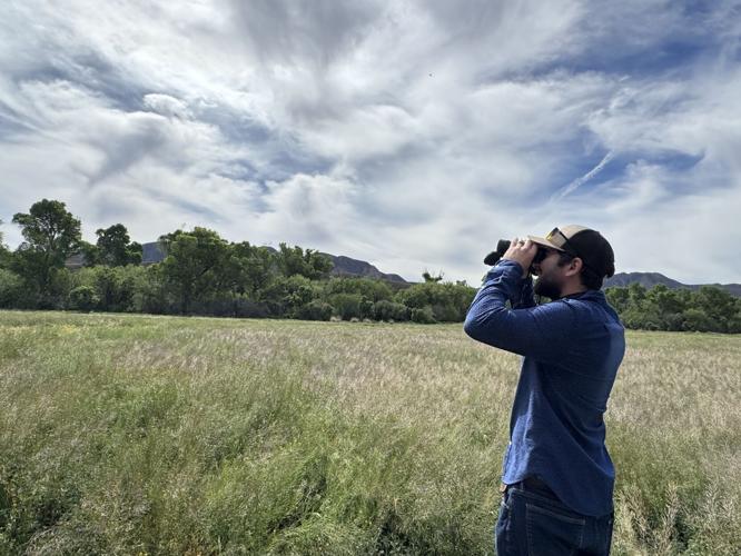BioBlitzers catalog wildlife in U.S., Mexico as walls go up along border