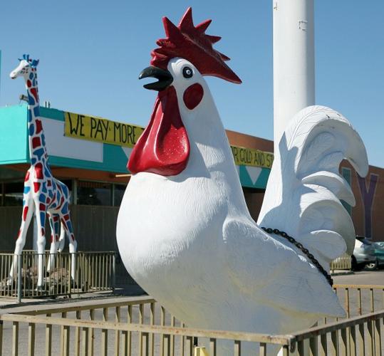 2 more big creatures appear at store