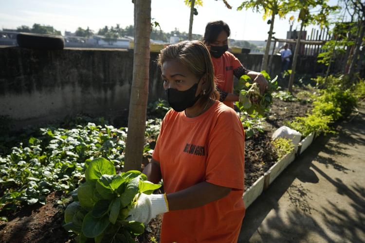 Organics Waste Pickers