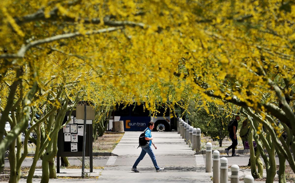 Pima Community College East