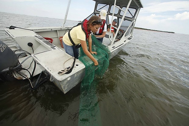 Gulf relief well needed despite success of plug, official says   