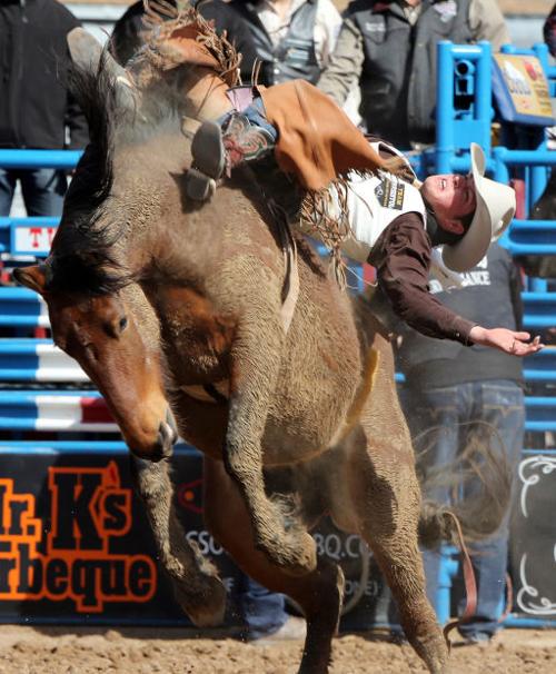 Tucson Rodeo
