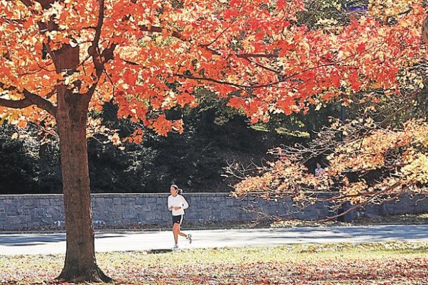 Fall colors, August to November  