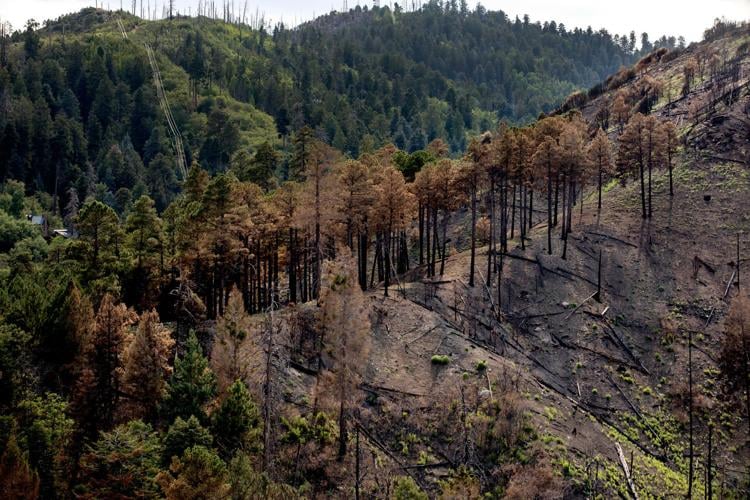 Mt. Lemmon and Santa Catalina Mountains