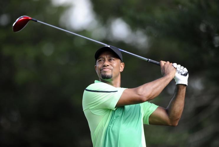 2014: Tiger Woods