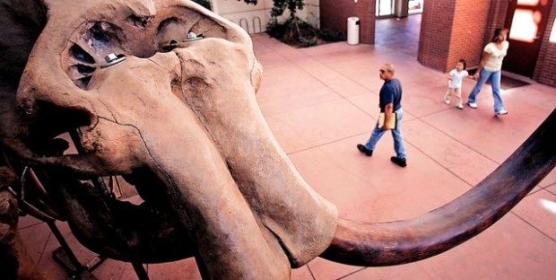 Picture a mammoth in your den — just $150K  