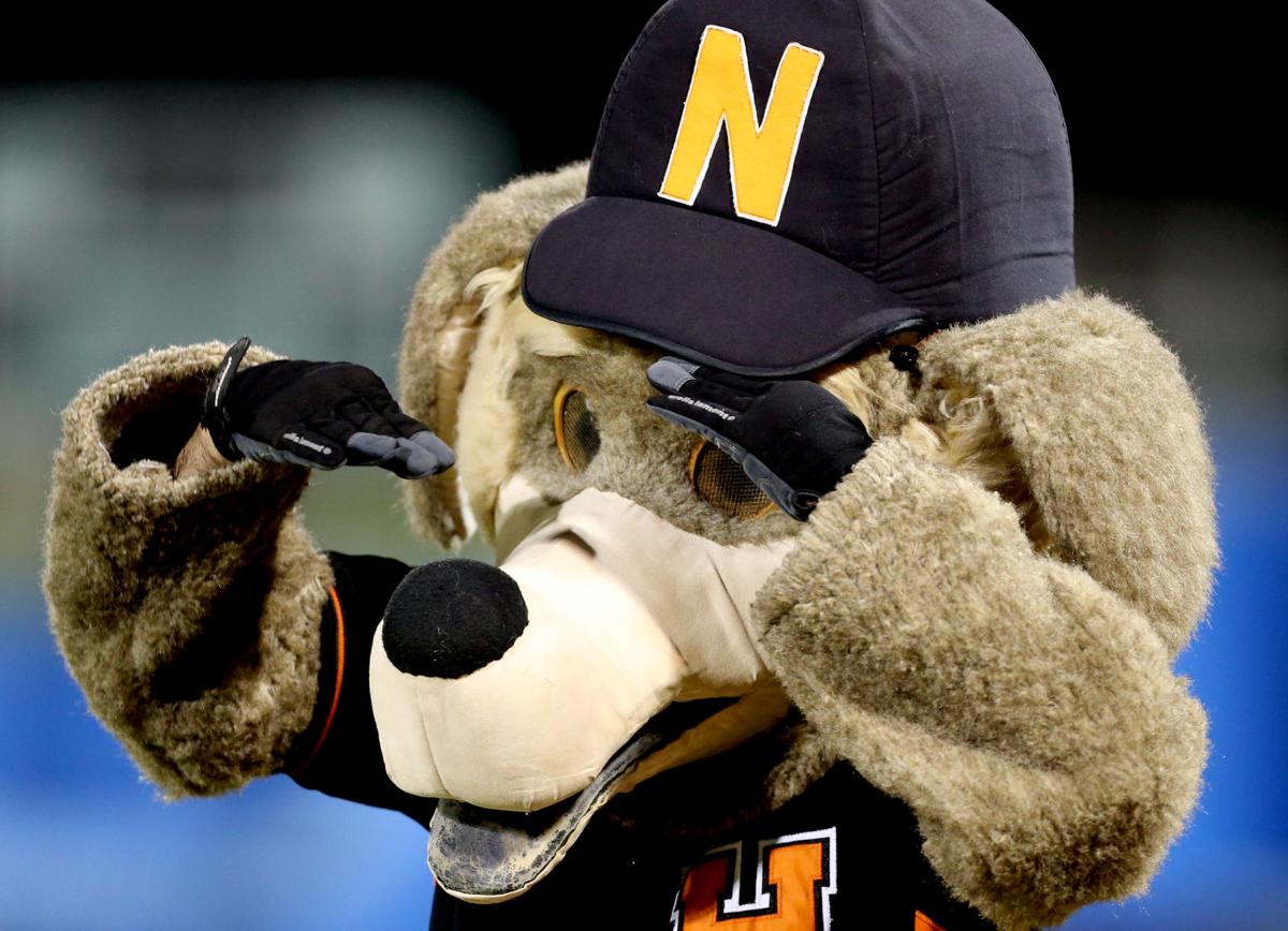 Wildcats, Naranjeros tie on first night of Mexican Baseball Fiesta