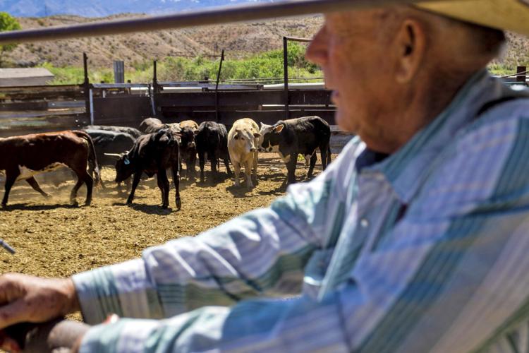Ranching Standoff 10 Years Later