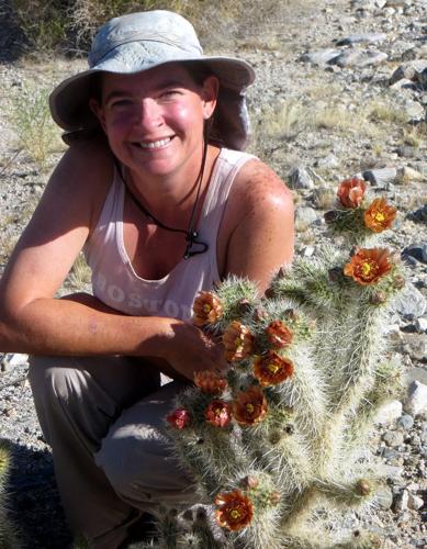 Sonoran XII Conference