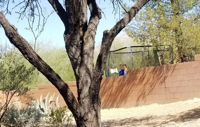 Tucson together: Reading aloud from a safe distance