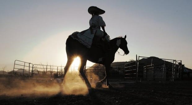 Showcasing riding skill  
