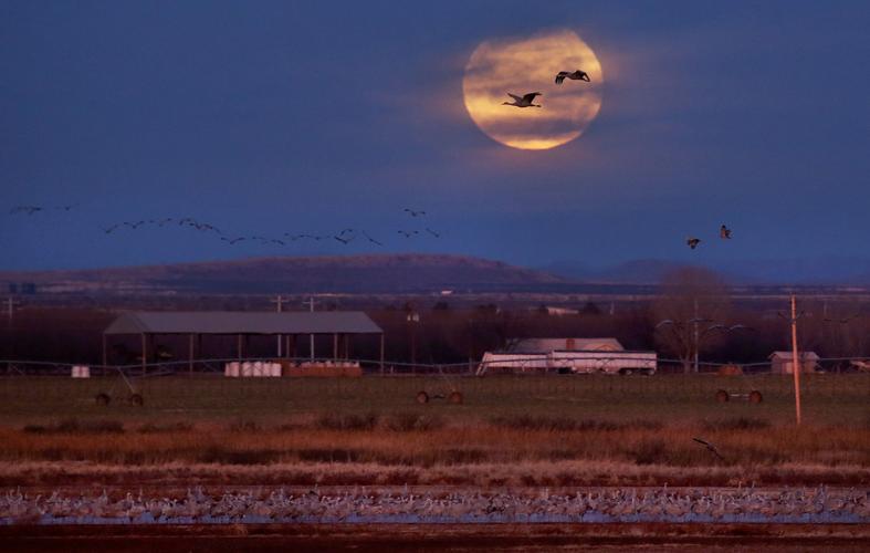 2017 Wings Over Willcox