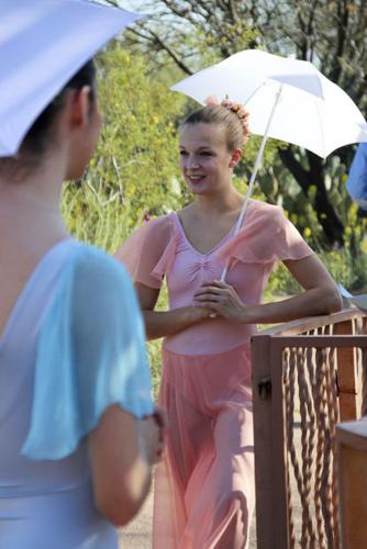 Sonoran desert wildflowers celebrated at Tohono Chul    