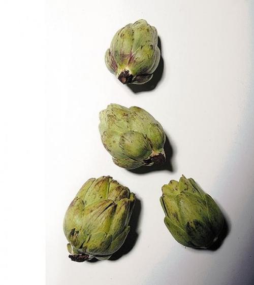 In season . . . baby artichokes  