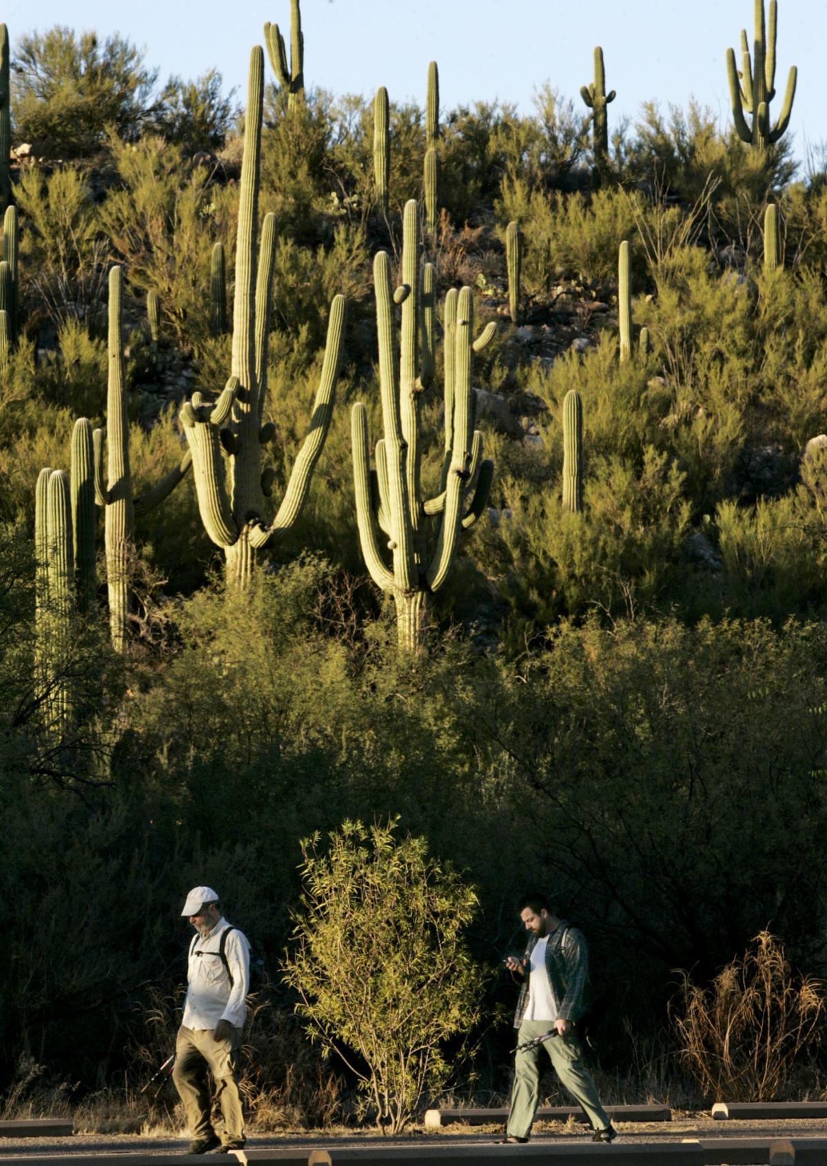 Catalina State Park