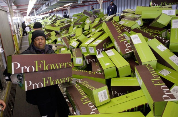 Valentine's Day flowers