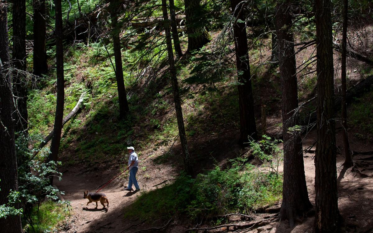 Santa Catalina Mountains, trails, 2022