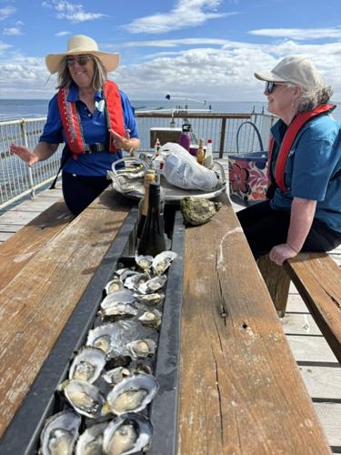 SA Premium Oysters offers a tour that takes guests on a boat to an elevated dining platform overlooking its oyster farm in Smoky Bay.
