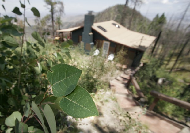 Aspen Fire recovery
