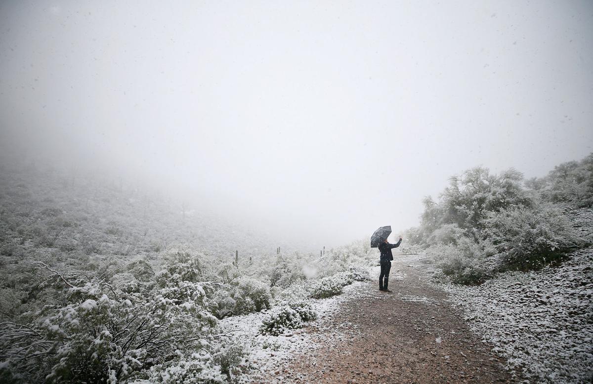 Snow in Tucson by Mamta Popat