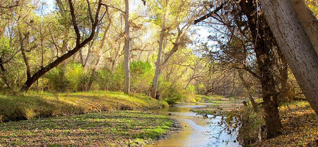 Habitats and Haunts Hikes Along the Bi-National Santa Cruz River-Lowe House Project
