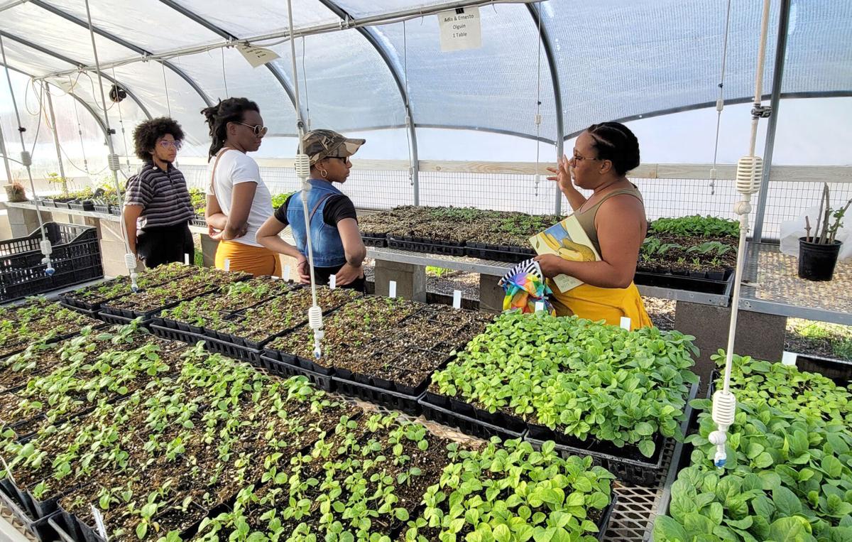 Southern Arizona Gender Alliance (LE)