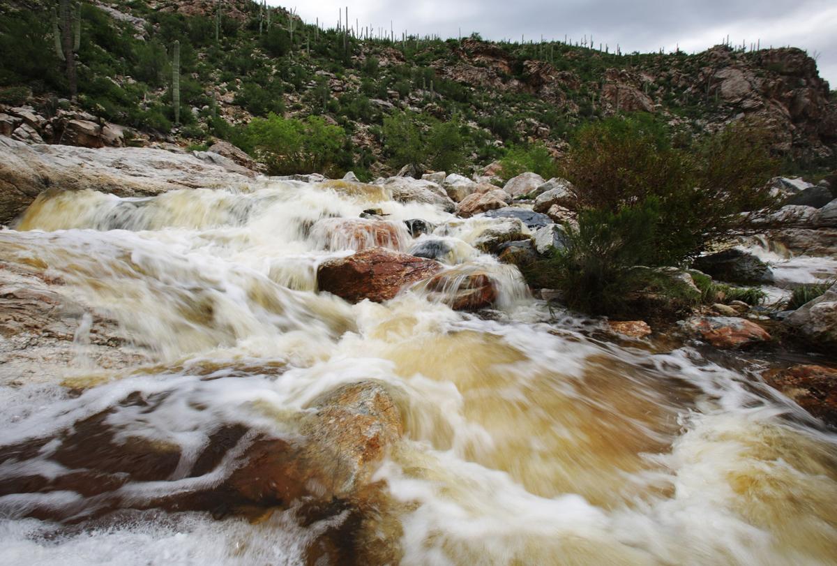 Fun in the monsoon runoff