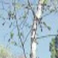 Madera Canyon Hike Madera For Fun Free Information Recreation Tucson Com