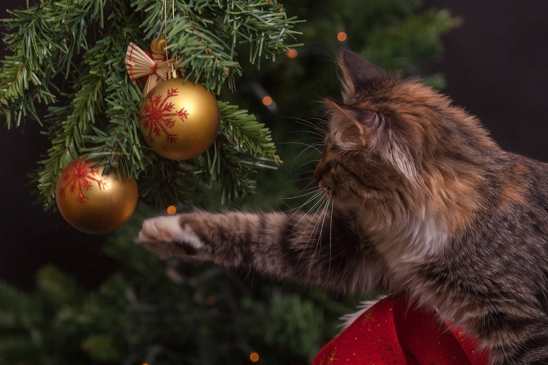 Christmas tree cat store repellent