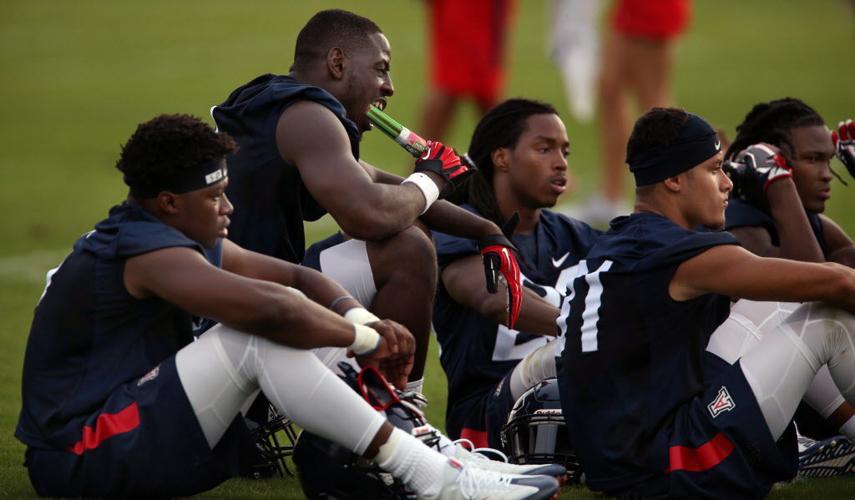 University of Arizona