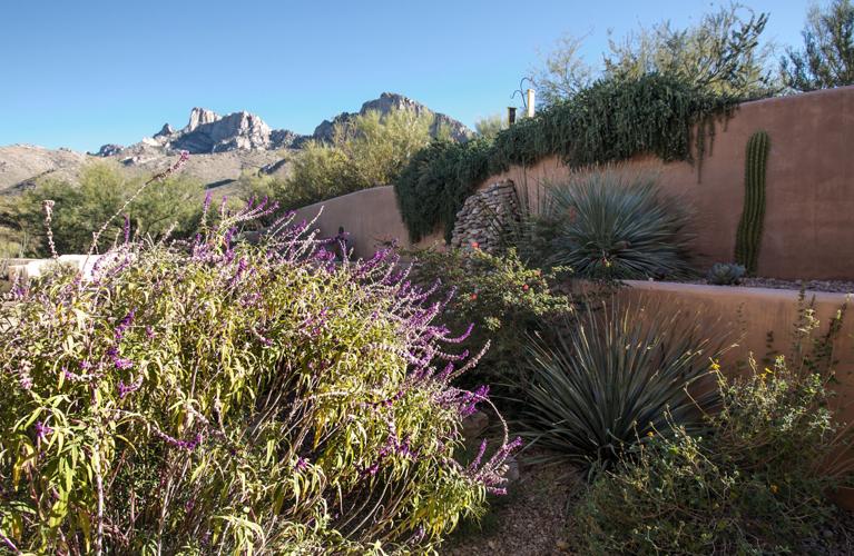 Arizona Landscape Contractors Association’s award of distinction